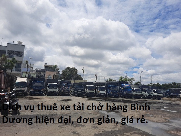 Xe tải chở hàng tại TPCM