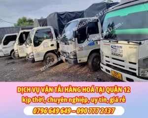 Xe tải hùng hậu, đa dạng phục vụ nhu cầu thuê xe tải chở hàng