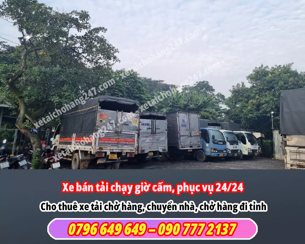 Xe Bán Tải Chạy Giờ Cấm