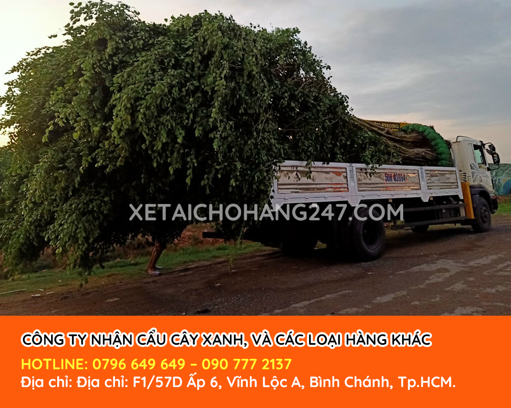 Dịch vụ cẩu hàng giá rẻ và chuyên nghiệp tại tphcm