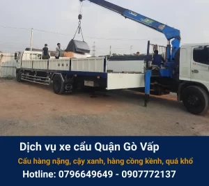 Cẩu hàng gò vấp