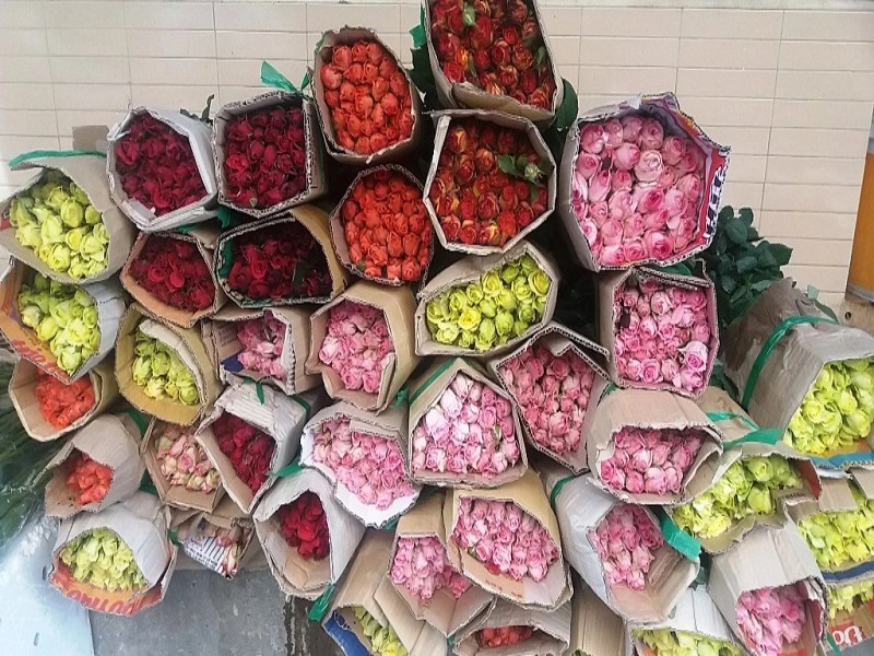 vận chuyển hoa tươi đúng cách