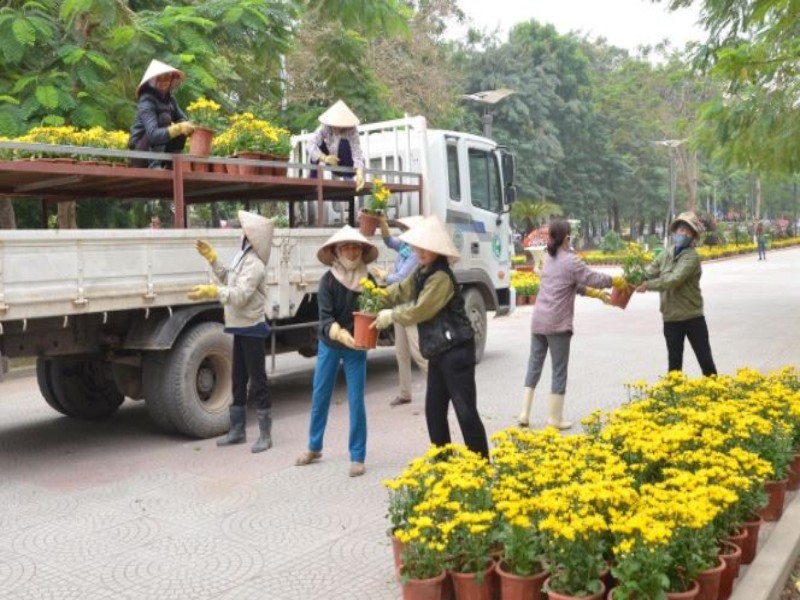 vận chuyển hoa tươi đúng cách