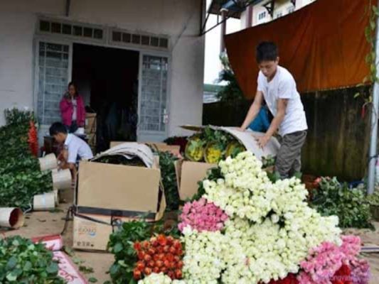 vận chuyển hoa tươi đúng cách